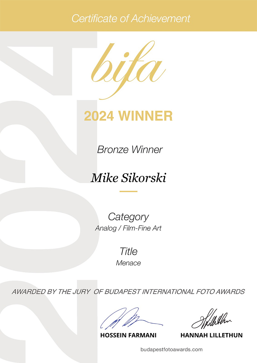 Bronze Medal in Budapest International Foto Awards 2024