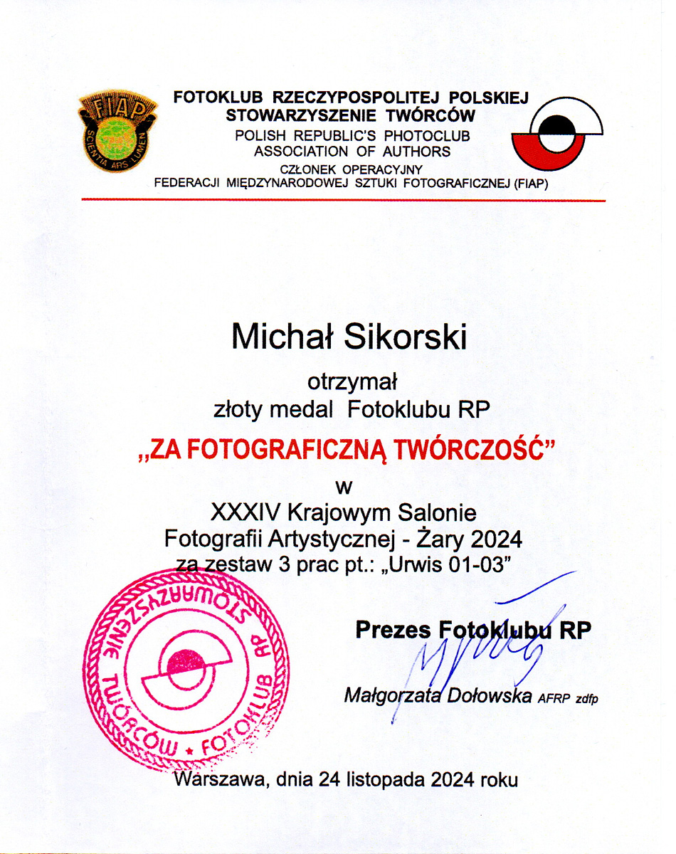 Gold Medal in XXXIV Krajowy Salon Fotografii Artystycznej Żary 2024