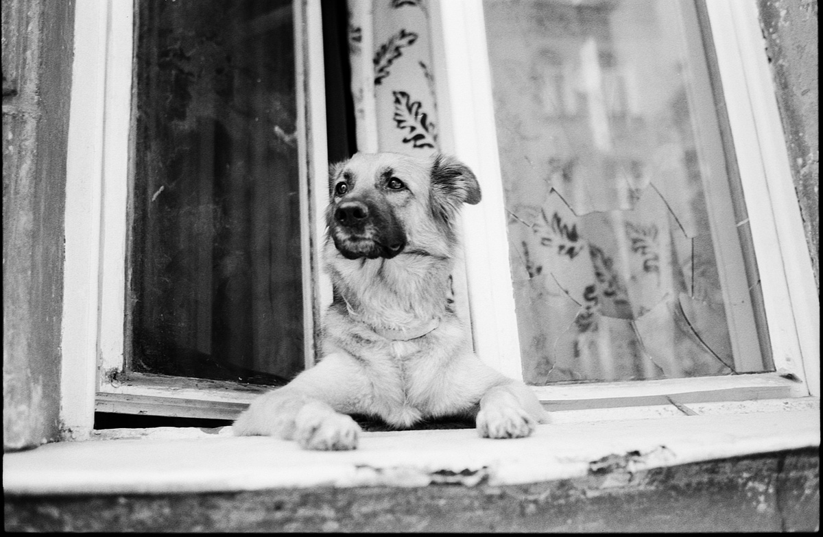 analog photography Poland